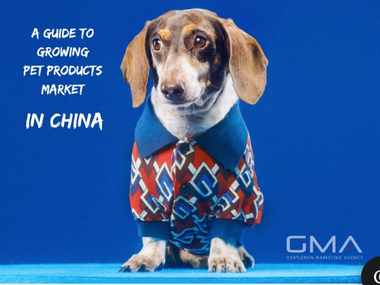 A Guide to Sell Pet Products in China