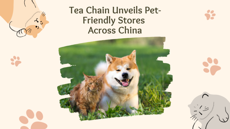 Furry Friends Welcome: Tea Chain Unveils Pet-Friendly Stores in China